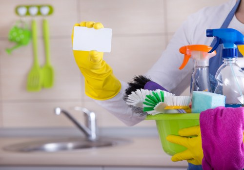 Professional cleaning company working in a Clapham home
