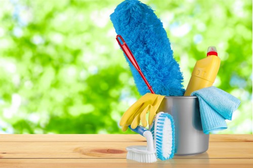 Professional carpet cleaner working on a Clapham home carpet