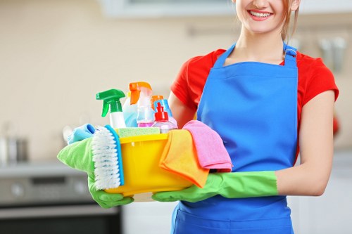Deep carpet cleaning equipment used by a Clapham specialist
