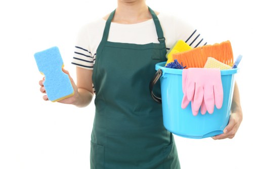 Professional cleaners in Clapham working in a modern home