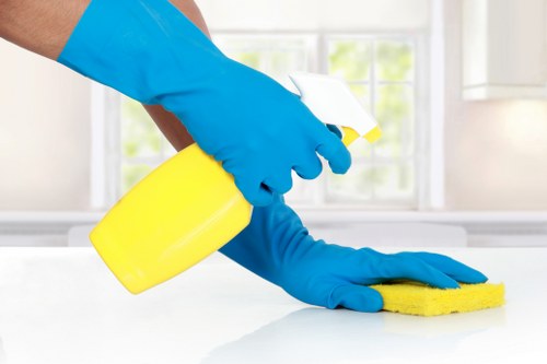 Regular domestic cleaning in a Clapham apartment