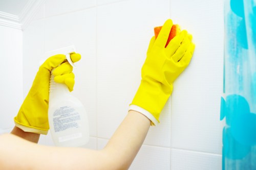 Clapham Cleaners highlighting recycling, reuse, and borough waste separation practices