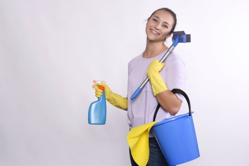 Detailed deep cleaning of a Clapham living room and hard-to-reach areas