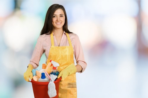 Domestic and commercial cleaning support in Clapham