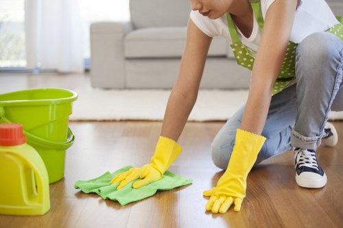 Carpet stain and odour treatment in a Clapham property
